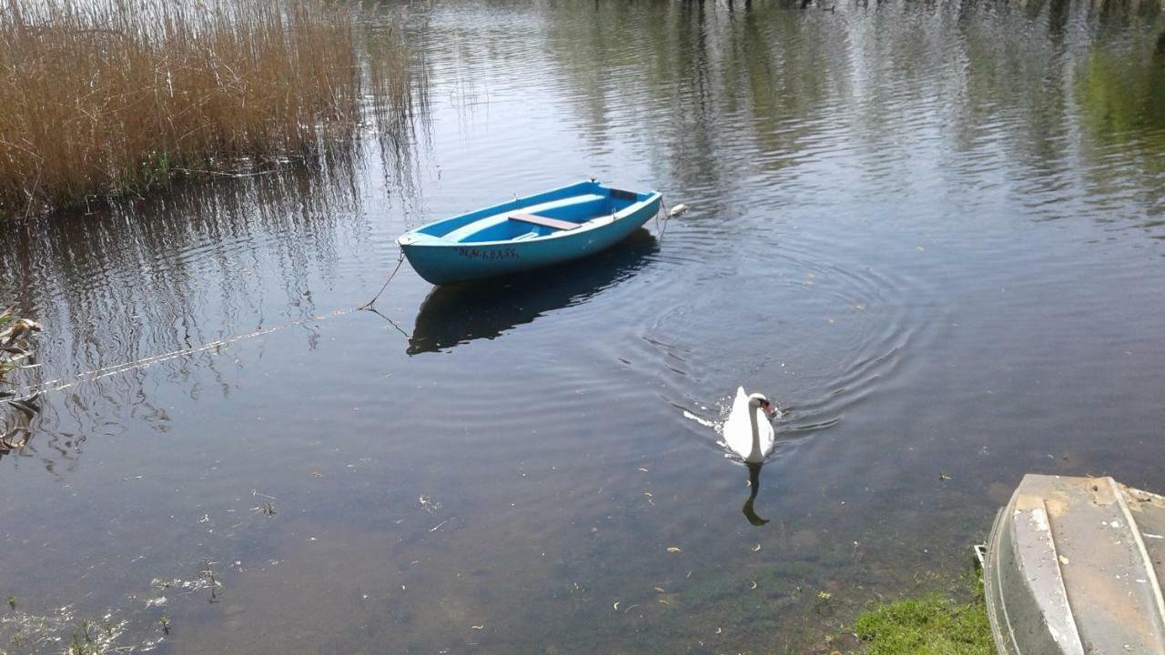Una Finestra Sul Lago..Appartamento Verbania Bagian luar foto